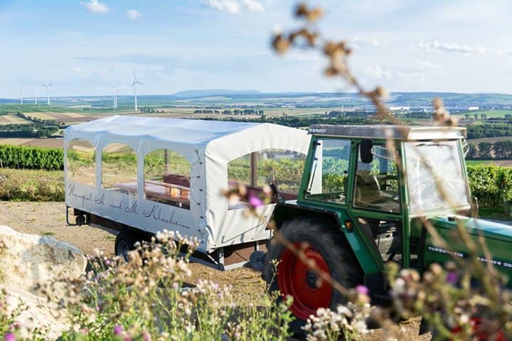 Plane-Wetterschutz_Anhänger-ProPlan Sattlerei in Eckelsheim