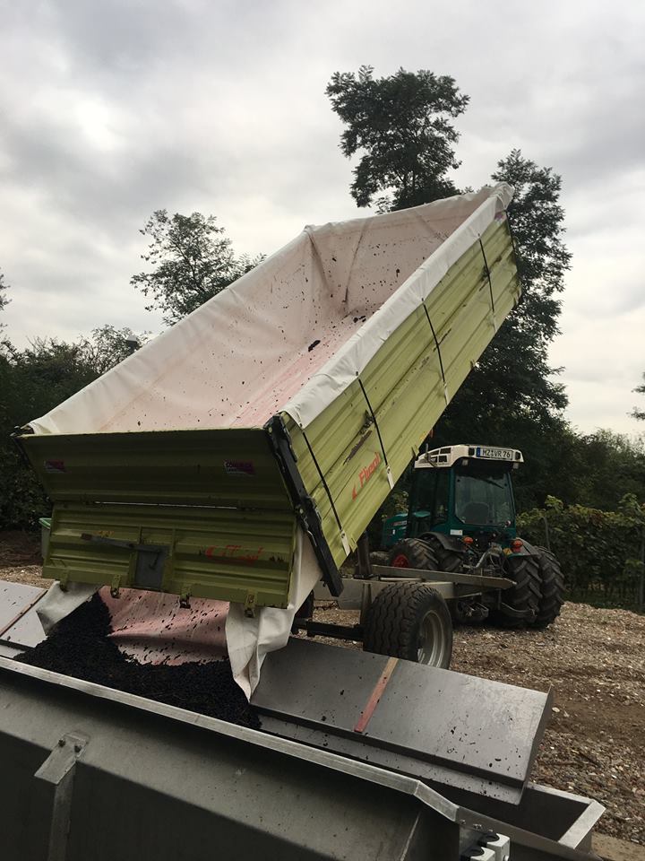 Traubenplane - ProPlan-Autosattlerei